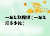 一车切糕视频（一车切糕多少钱）
