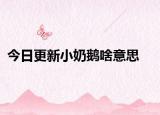 今日更新小奶鹅啥意思