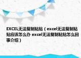 EXCEL无法复制粘贴（excel无法复制粘贴应该怎么办 excel无法复制粘贴怎么回事介绍）