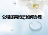 公租房离婚是如何办理