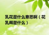 乳花是什么意思啊（花乳阁是什么）