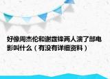 好像周杰伦和谢霆锋两人演了部电影叫什么（有没有详细资料）