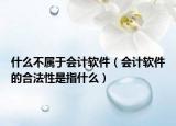 什么不属于会计软件（会计软件的合法性是指什么）
