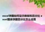 excel饼图如何显示数据和百分比 excel图表饼图百分比怎么设置