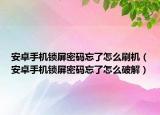 安卓手机锁屏密码忘了怎么刷机（安卓手机锁屏密码忘了怎么破解）