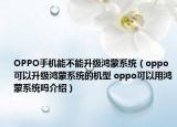 OPPO手机能不能升级鸿蒙系统（oppo可以升级鸿蒙系统的机型 oppo可以用鸿蒙系统吗介绍）