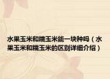 水果玉米和糯玉米能一块种吗（水果玉米和糯玉米的区别详细介绍）