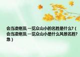会当凌绝顶,一览众山小的名胜是什么?（会当凌绝顶,一览众山小是什么风景名胜?急）