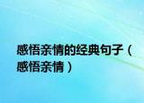 感悟亲情的经典句子（感悟亲情）