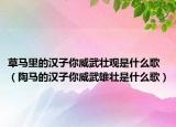 草马里的汉子你威武壮观是什么歌（陶马的汉子你威武雄壮是什么歌）