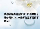 违停被贴但是交管12123查不到（违停贴条12123查不到是不是就不用交）