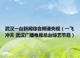 武汉一台新闻综合频道央视（一飞冲天 武汉广播电视总台综艺节目）