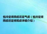怕冷是肾阴虚还是气虚（怕冷是肾阴虚还是肾阳虚详细介绍）