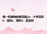哪一科植物的雄蕊强()a  .十字花科b  .豆科c  .菊科d  .百合科