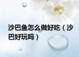 沙巴鱼怎么做好吃（沙巴好玩吗）