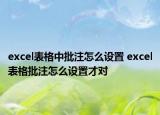 excel表格中批注怎么设置 excel表格批注怎么设置才对