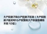 大产权房子和小产权房子区别（大产权的房子能买吗?小产权房和大产权房有哪些不同 ?介绍）