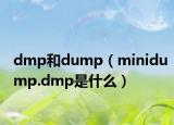 dmp和dump（minidump.dmp是什么）