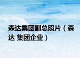森达集团副总照片（森达 集团企业）