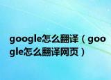 google怎么翻译（google怎么翻译网页）