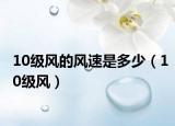 10级风的风速是多少（10级风）