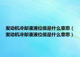发动机冷却液液位低是什么意思（发动机冷却液液位低是什么意思）