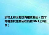 质粒上有没有抗青霉素基因（氨苄青霉素抗性基因在质粒DNA上叫什么）