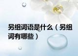 另组词语是什么（另组词有哪些）