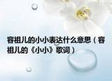 容祖儿的小小表达什么意思（容祖儿的《小小》歌词）