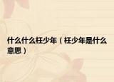 什么什么枉少年（枉少年是什么意思）