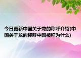 今日更新中国关于龙的称呼介绍(中国关于龙的称呼中国被称为什么)