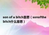 son of a bitch意思（sonofthebitch什么意思）