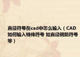 直径符号在cad中怎么输入（CAD如何输入特殊符号 如直径钢筋符号等）