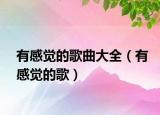 有感觉的歌曲大全（有感觉的歌）