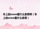 车上的snow是什么意思啊（车上的snow是什么意思）