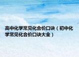 高中化学常见化合价口诀（初中化学常见化合价口诀大全）
