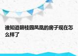 谁知道碧桂园凤凰的房子现在怎么样了