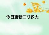 今日更新二寸多大