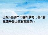 山东h是哪个市的车牌号（鲁h的车牌号是山东省哪里的）