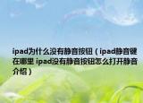 ipad为什么没有静音按钮（ipad静音键在哪里 ipad没有静音按钮怎么打开静音介绍）