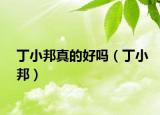 丁小邦真的好吗（丁小邦）