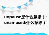 unpause是什么意思（:unamused:什么意思）