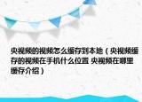 央视频的视频怎么缓存到本地（央视频缓存的视频在手机什么位置 央视频在哪里缓存介绍）