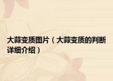 大蒜变质图片（大蒜变质的判断详细介绍）