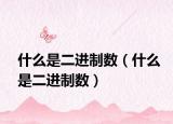 什么是二进制数（什么是二进制数）
