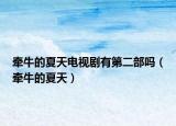 牵牛的夏天电视剧有第二部吗（牵牛的夏天）