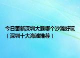 今日更新深圳大鹏哪个沙滩好玩（深圳十大海滩推荐）