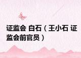 证监会 白石（王小石 证监会前官员）