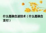 什么是融合波技术（什么是融合支付）