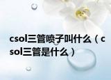 csol三管喷子叫什么（csol三管是什么）
